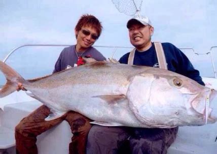 夢見釣到很多魚|夢見魚